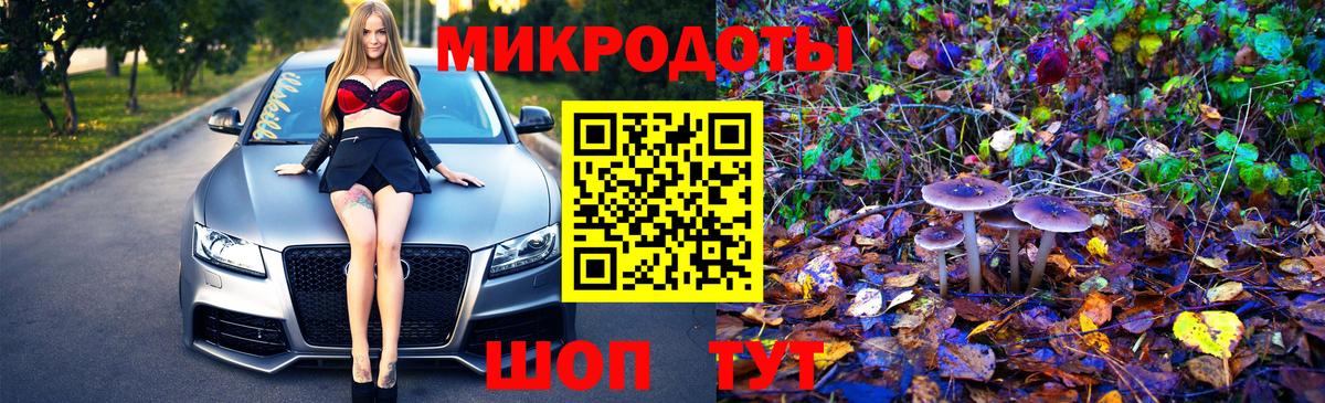 Галлюциногенные грибы Cubensis Урай